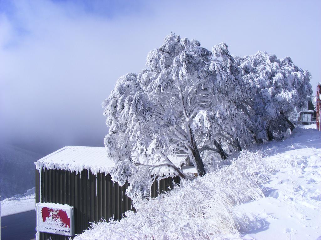 Villa Arlberg Hotham Monte Hotham Exterior foto